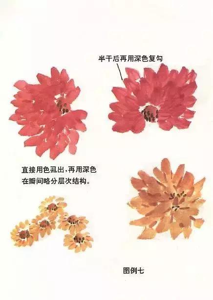 国画菊花画法教学视频,国画入门菊花的画法