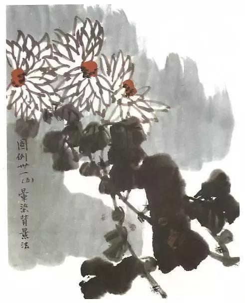 国画菊花画法教学视频,国画入门菊花的画法