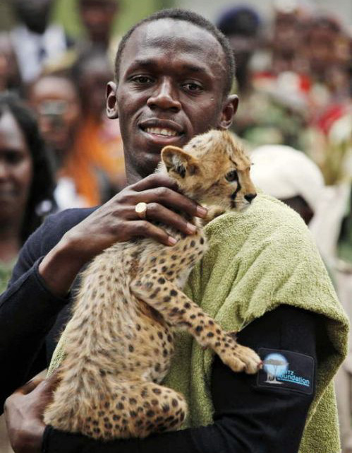 卡门的杂货铺|牵着大象去逛街，图说体坛明星的宠物情缘