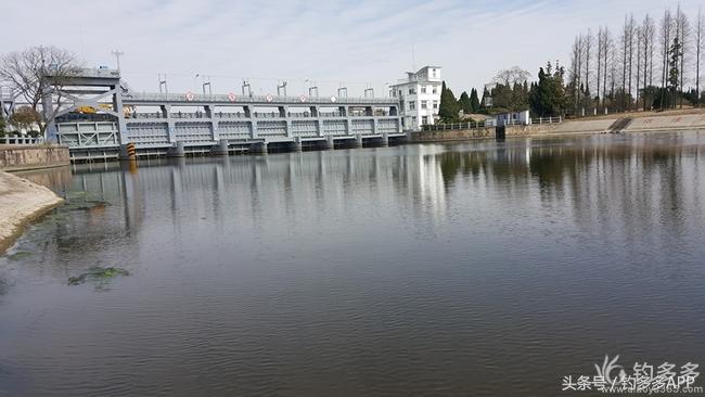 台钓竿双钩,台钓双钩沉底