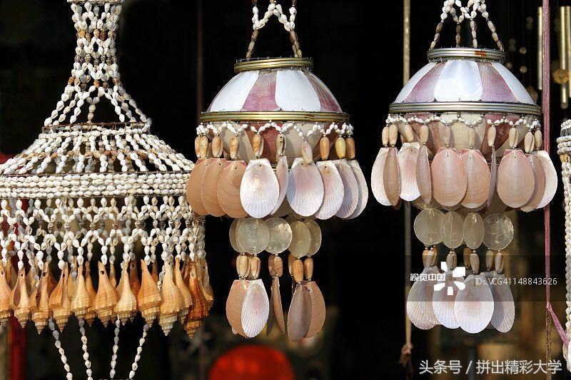 漂亮的贝壳的饰品,贝壳美丽饰品