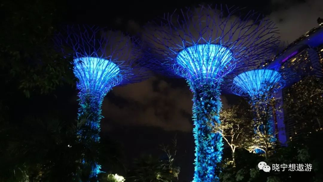 新加坡攻略及所带物品,新加坡攻略游戏