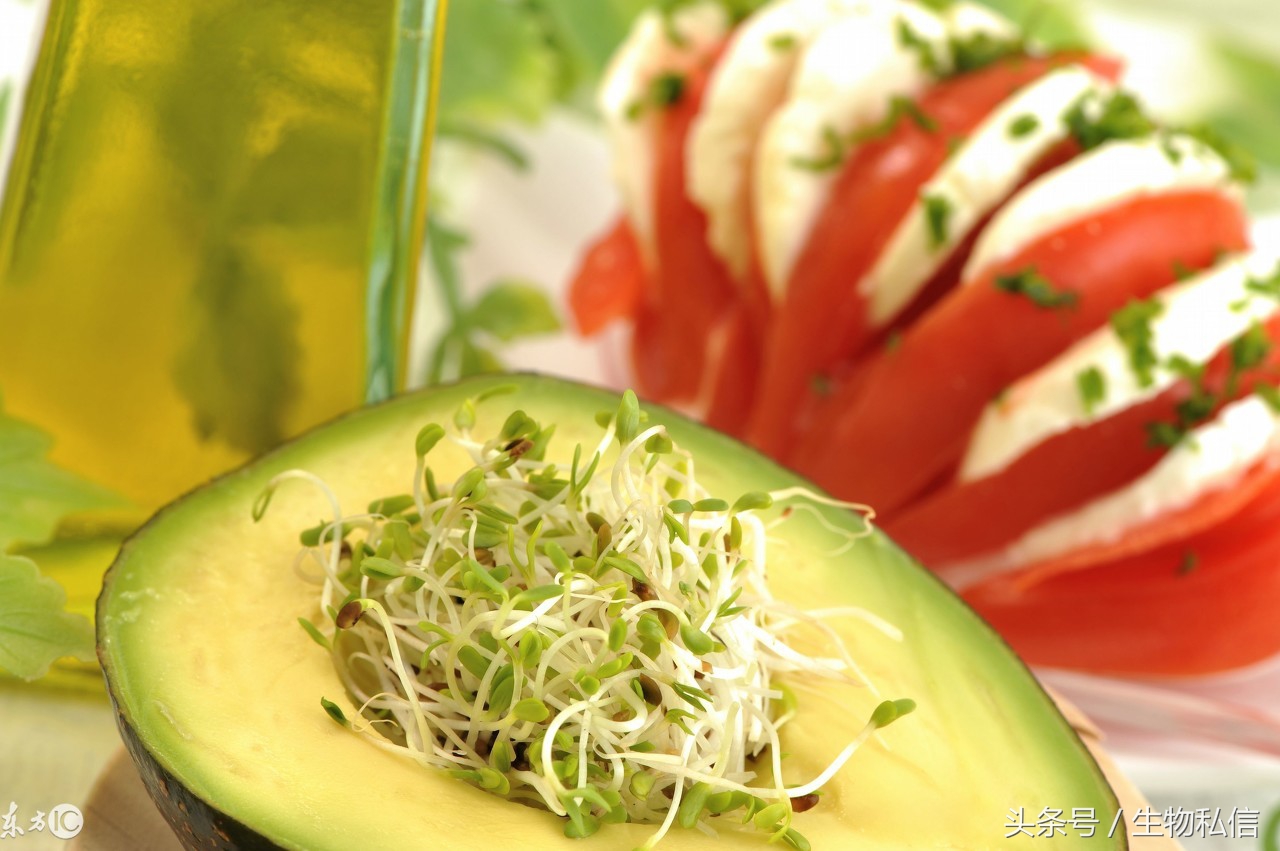 油梨牛油果介绍,夏威夷鳄梨牛油果