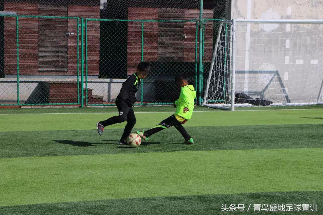 青鸟盛地足球比赛,青鸟盛地足球活动