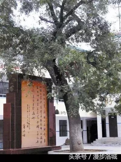 洛阳敬事街小学,回忆校园历史