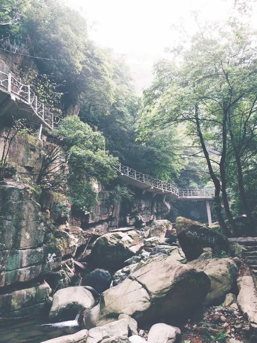 浙江安吉号称第一竹乡吗,安吉联合国最宜居城市