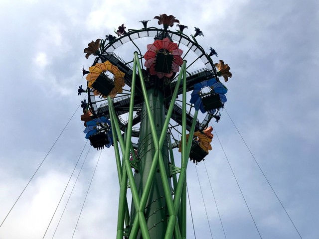 两天一晚珠海长隆旅游攻略,珠海长隆旅行一日游需要准备什么