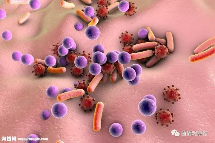 皮肤上的油脂保护膜,皮肤的生态保护屏障