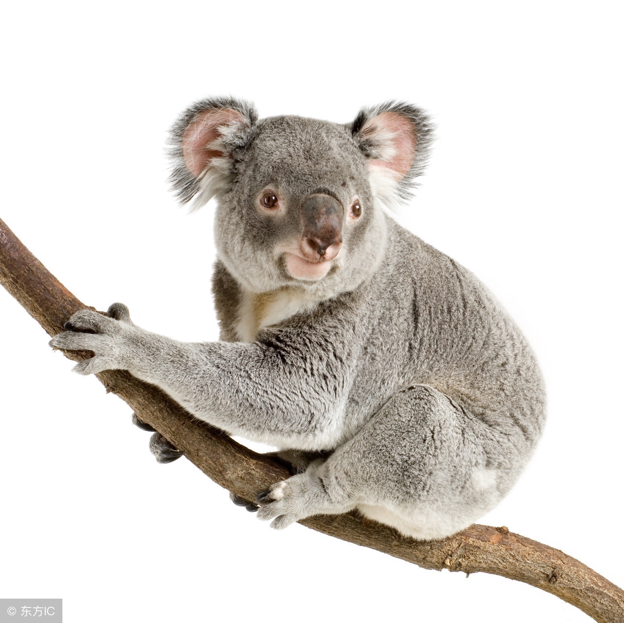 知识点一年级上册,anumberof的用法