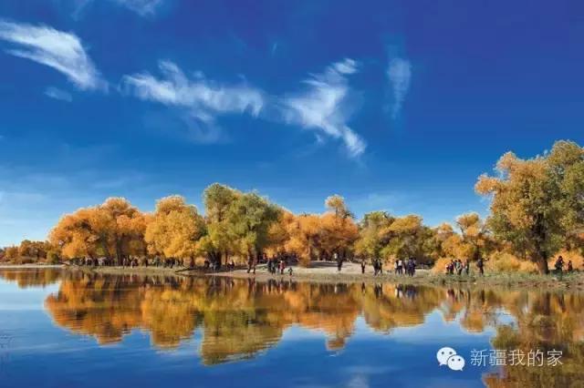 面积是全国最大县，农民收入直逼上海，说的就是*疆新**这个县