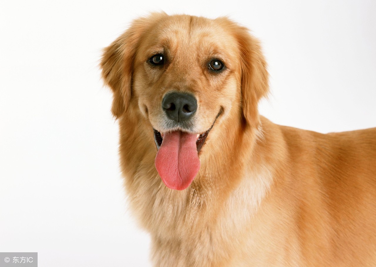 知识点一年级上册,anumberof的用法