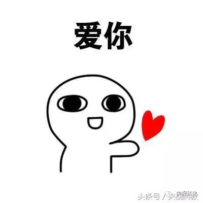 21点档｜狗年看狗！