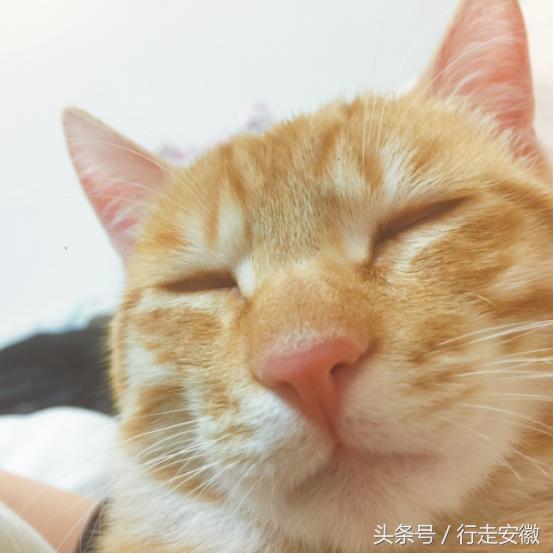 不好，“蛋蛋”有危险