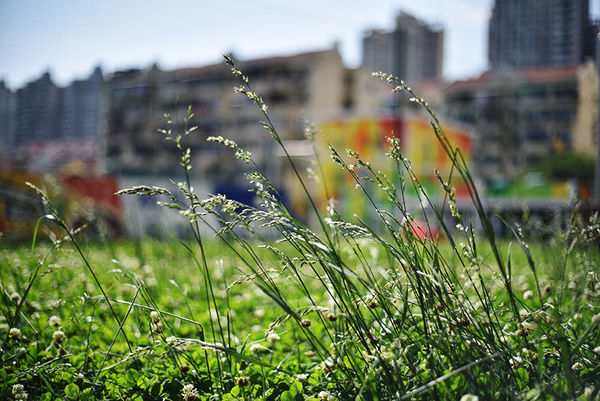 尼康d90加永诺50mmf1.8d怎么用,尼康50mm1.8g和永诺50mm1.8