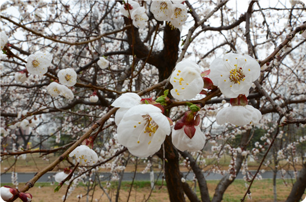 俞敏洪谈大学生为什么要读书,俞敏洪在学校