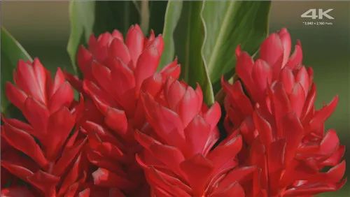 小米全网首测,小米盒子4评测