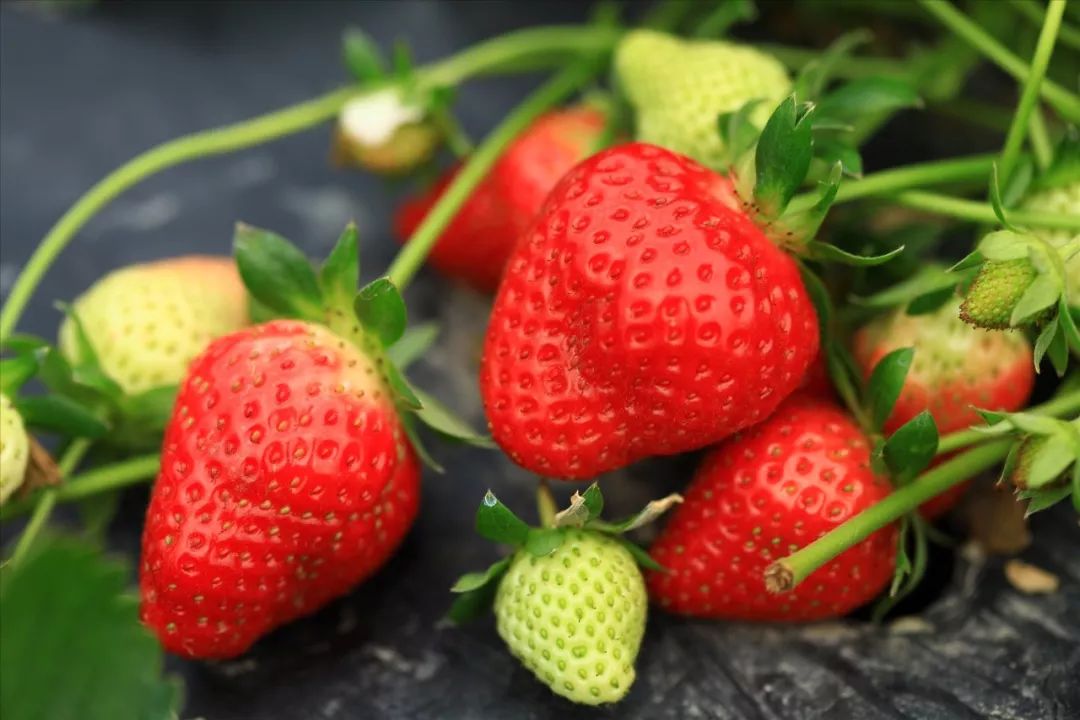 近期大连有什么活动,大连九月份有什么活动