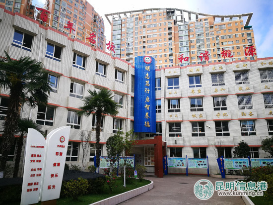 桃源县桃源小学,桃源小学哪年办学