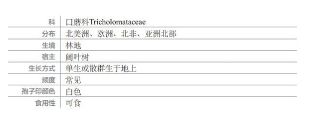 小心这些东西有毒千万别碰,小心有毒的蘑菇完整版