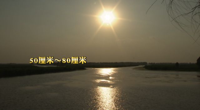 泥鳅一般一年亩产多少斤,亩产成品泥鳅4000多斤