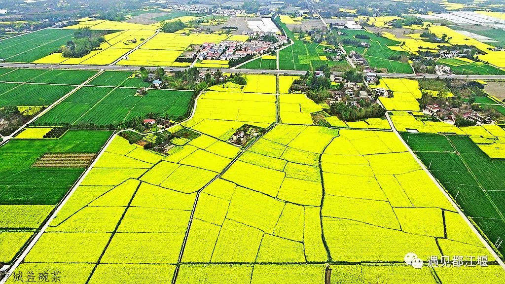 政府工作报告水利,都江堰发展理念