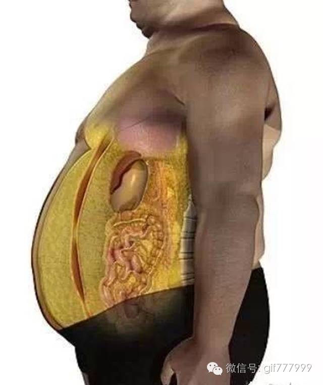 10张图看清人生真相,一张图看懂脂肪多可怕