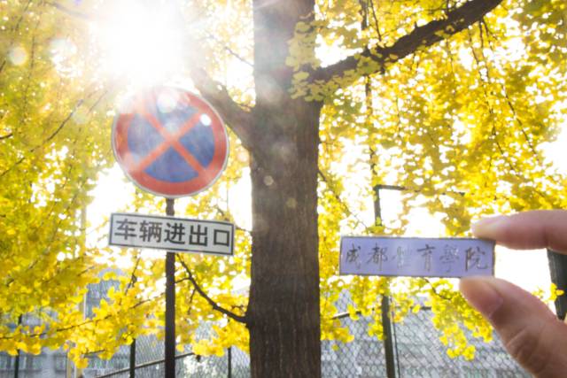 成都体育学院新校区交付,成都体育学院新校区最新消息