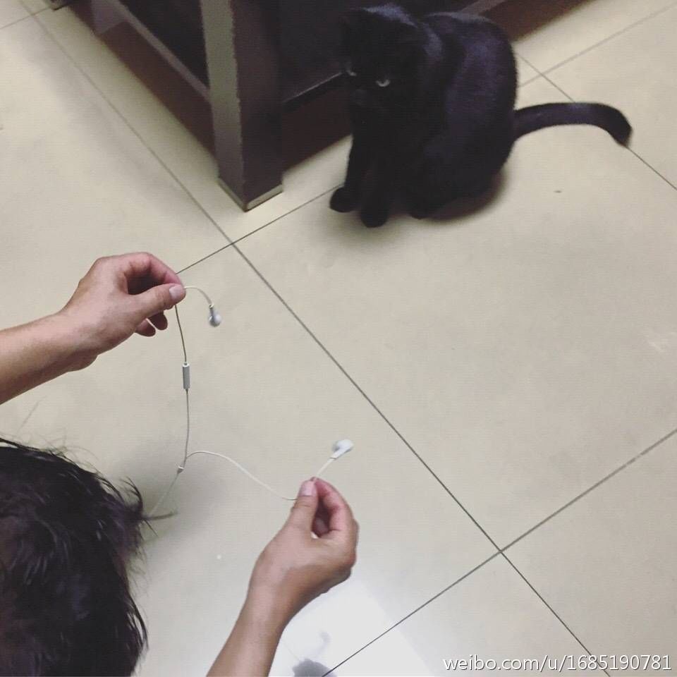 带狗回家后的第一天,带狗回家过年后带不回来了