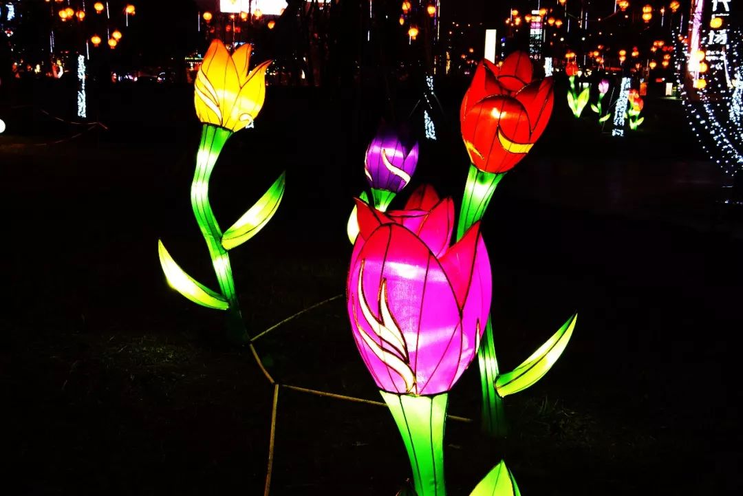 双福最新视频,双福还能回来吗