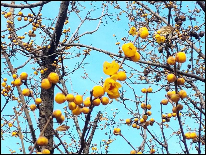 鹿泉道观十方院,鹿泉十方院最新视频