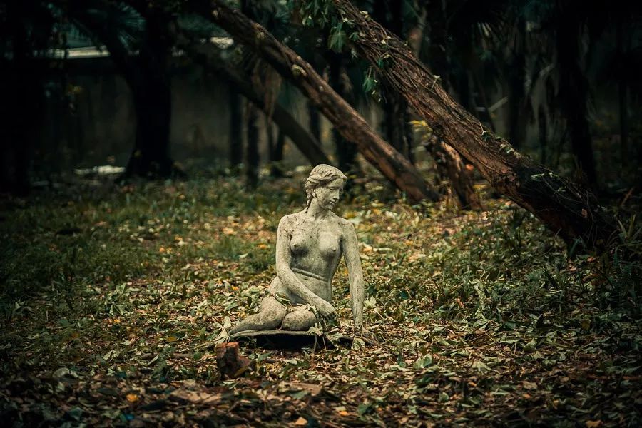 土著带你玩大连开发区,土著带你玩上海