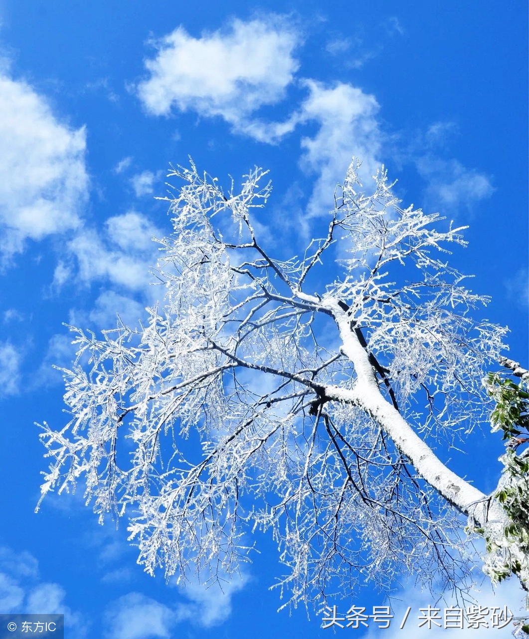 姓氏里面藏着的绝美诗,姓氏的动人情诗