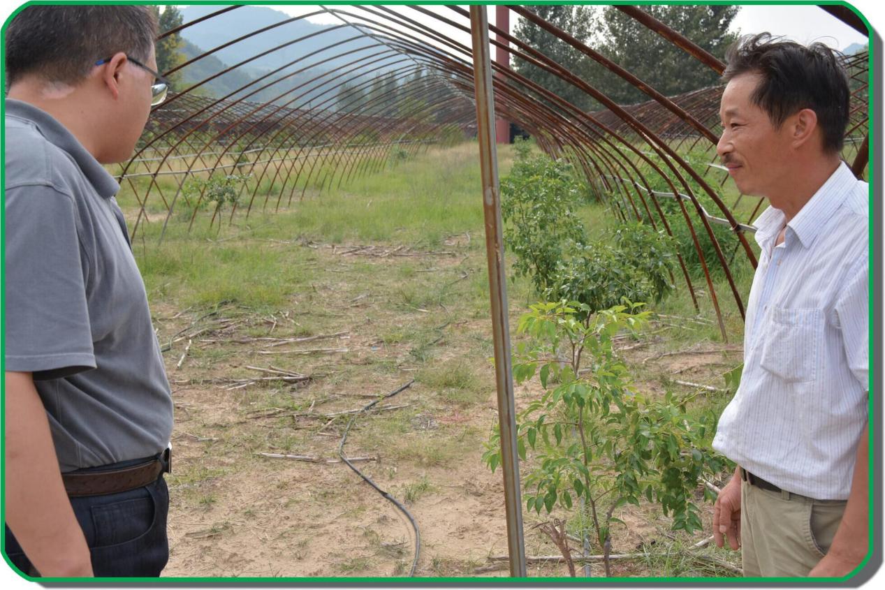 用勤劳的双手成就火红的日子——记过风楼镇徐家店社区脱贫致富典型母德军