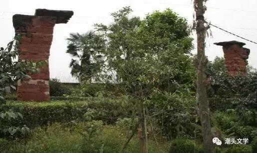 乐山杨公阙,千年汉阙