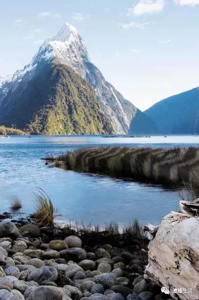 闲话新西兰葡萄酒