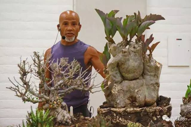 十大最贵玉露多肉品种,多肉最贵的品种有哪些