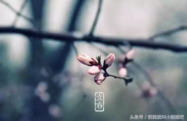 立春后吃什么小孩长得高,立春后给宝宝这样吃