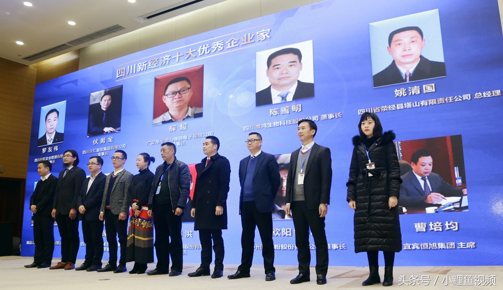 众汇金控董事长简历,众汇金控集团董事长