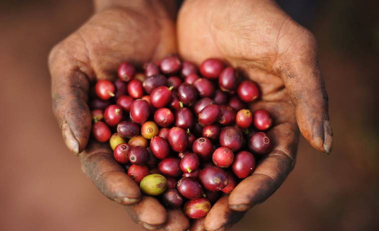 星巴克咖啡最新消息,星巴克供应链不为人知的秘密广告