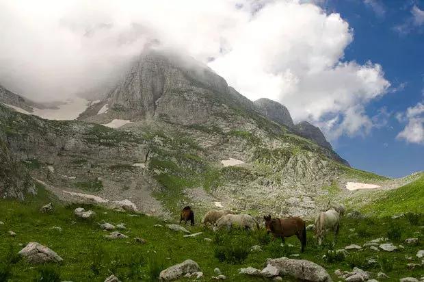 涓嶅閿欒繃鐨勬梾琛岀洰鐨勫湴,姝ょ敓蹇呭幓鐨勬梾娓哥洰鐨勫湴