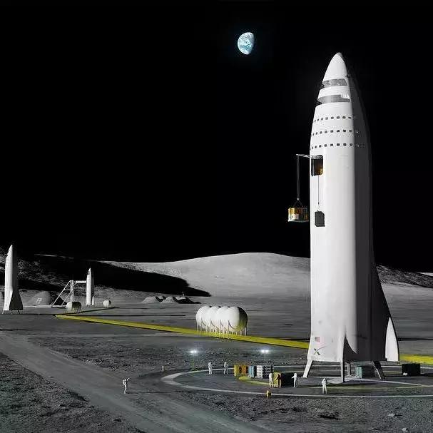 火爆全网的马斯克,马斯克霸屏