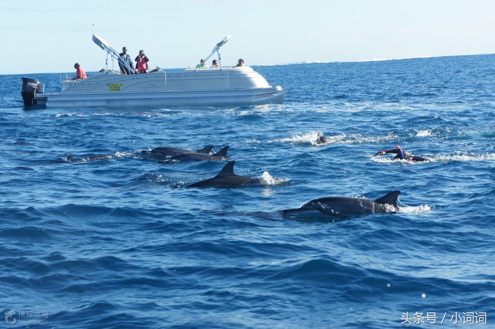 明星的婚礼都在哪里举行,明星中最浪漫的婚礼