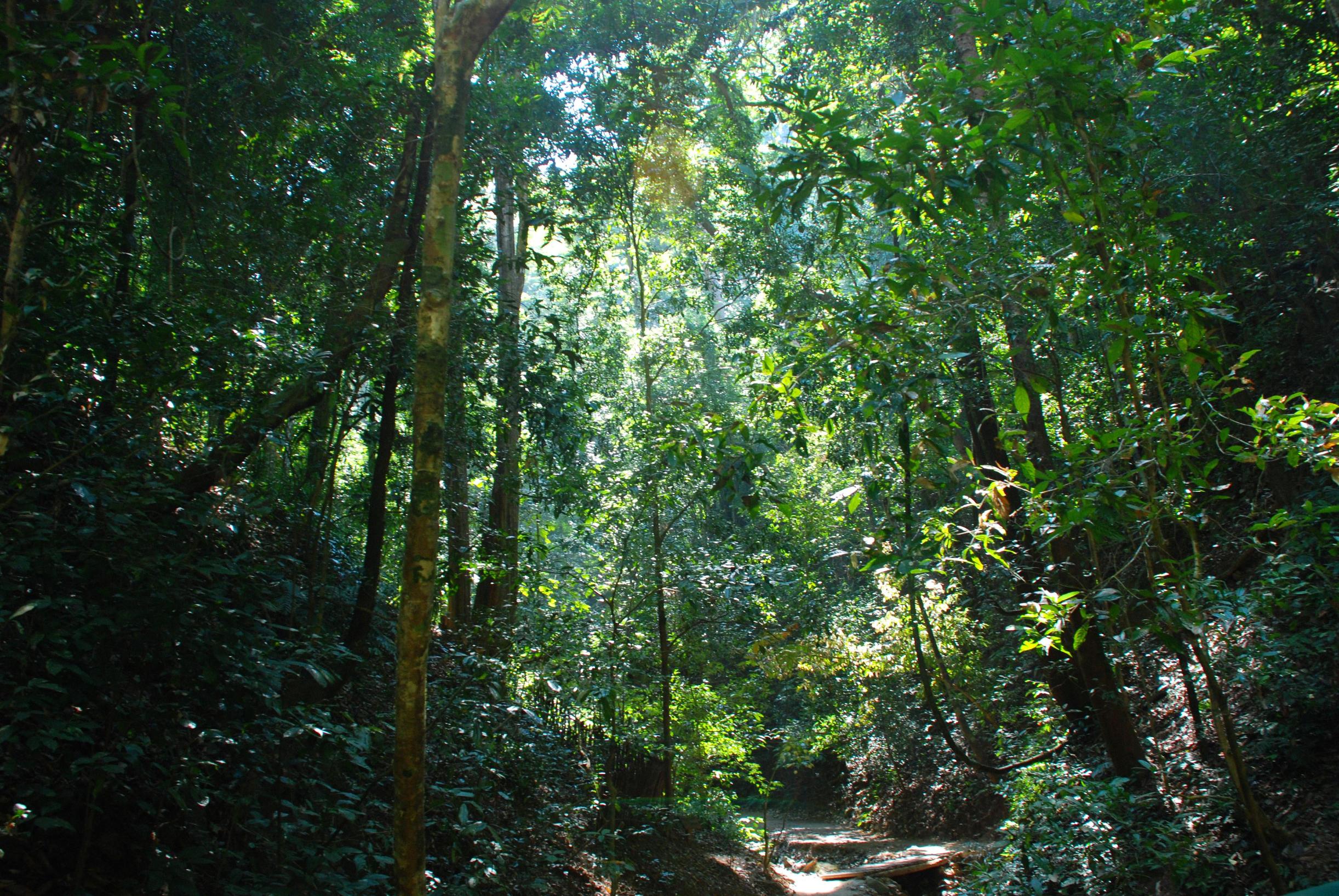 带你去看云南的西双版纳,云南到底有多滇