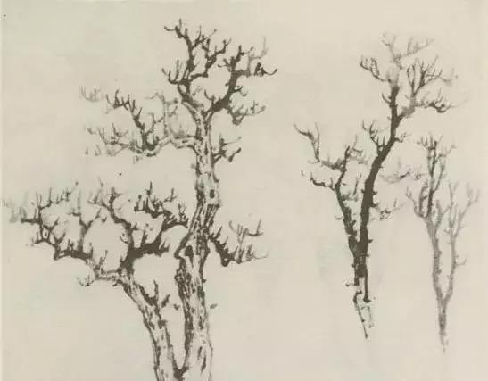怎么画枯萎的树简单又好看,成长树怎么画小学生六年级