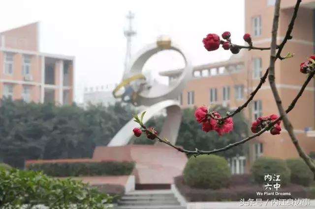 内江六中日常,内江六中兴隆校区校服