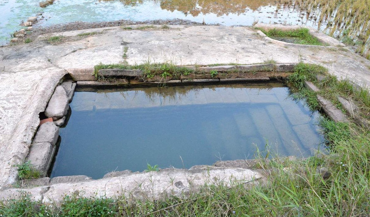 农村的水井为什么那么多水,山里为什么有鳖