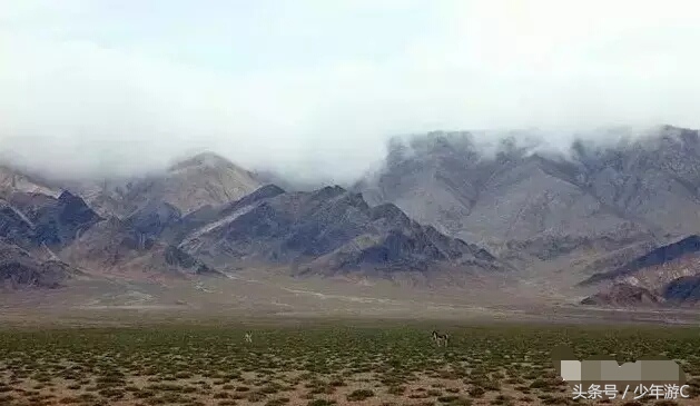 有2个浙江或6个台湾大,农民人均收入直逼上海,它就是*疆新**若羌县