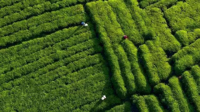 南昌自驾游攻略景点推荐一日游,南昌附近免费好玩的地方自驾游