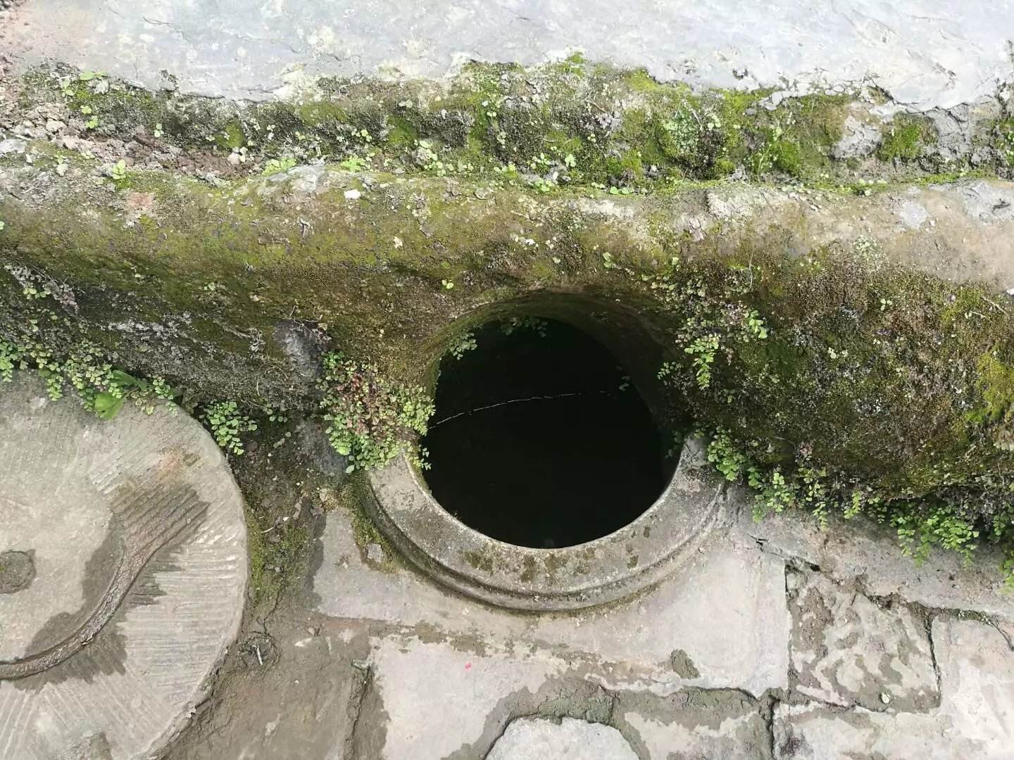 农村的水井为什么那么多水,山里为什么有鳖