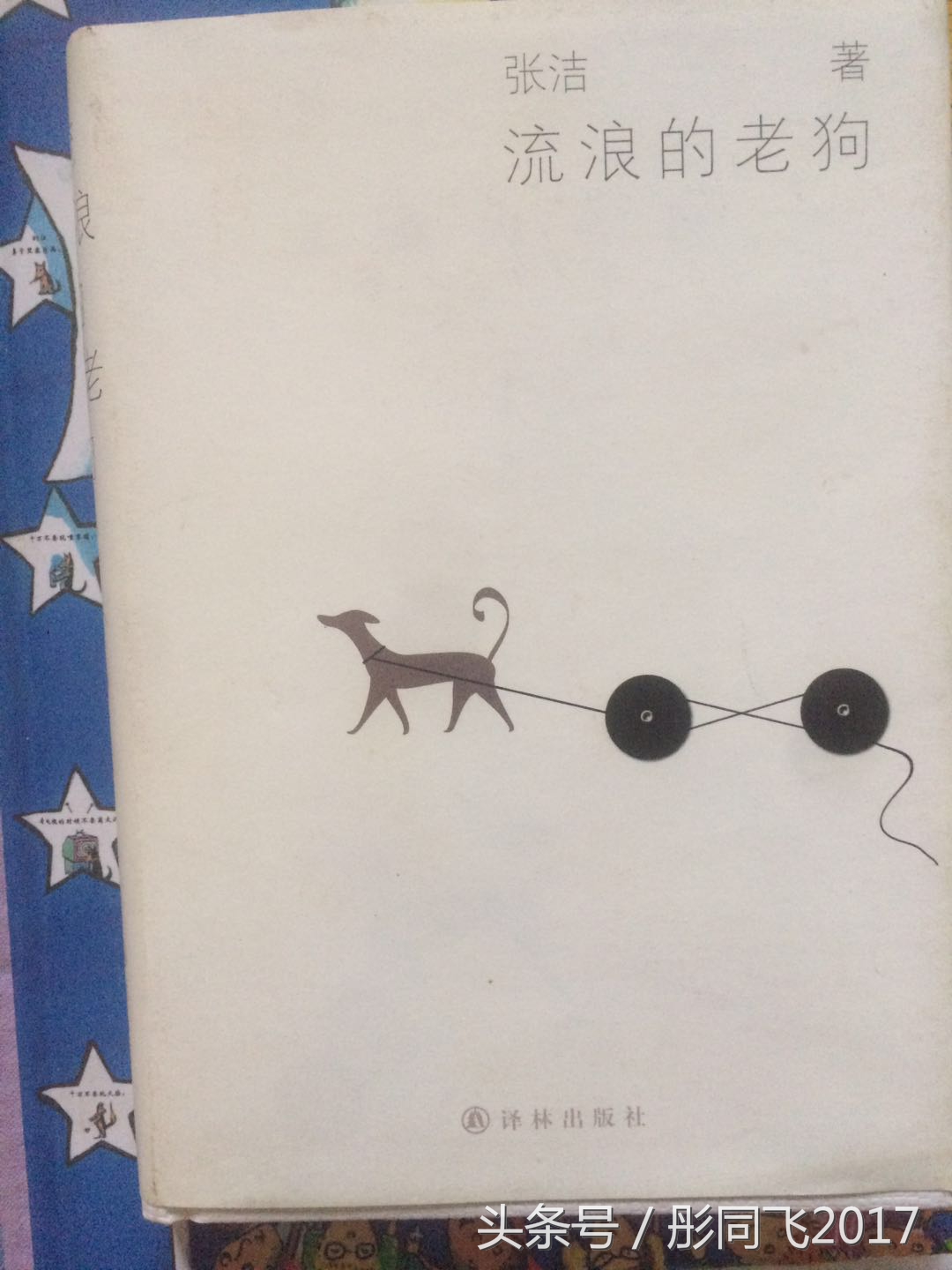 乌鲁木齐周边暑假遛娃好去处攻略,乌鲁木齐春节遛娃攻略